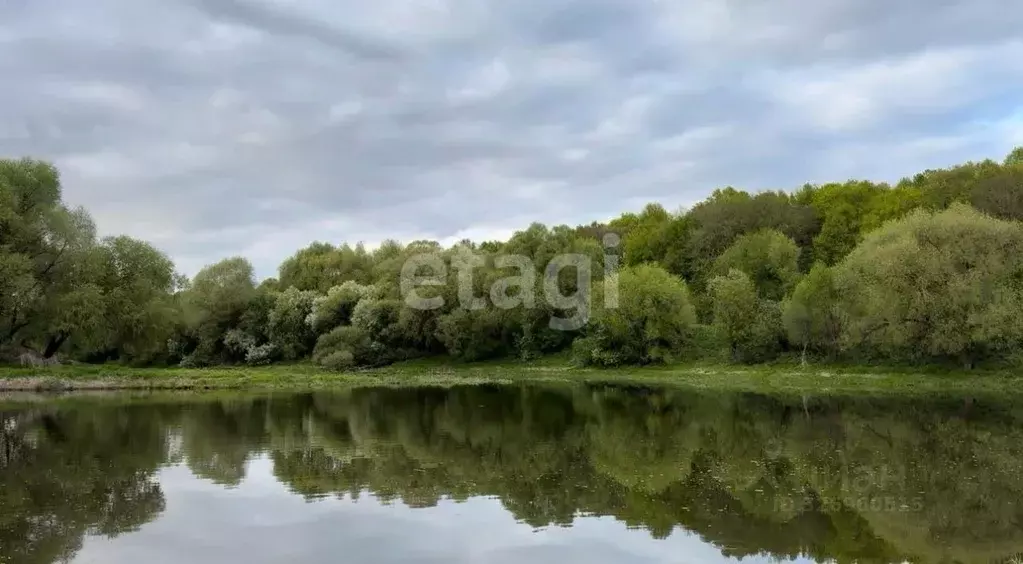 Участок в Калужская область, Калуга городской округ, д. Андреевское  ... - Фото 1