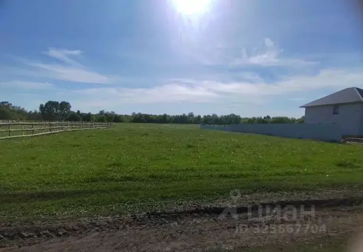 Участок в Алтайский край, Красногорский район, с. Быстрянка ул. ... - Фото 1