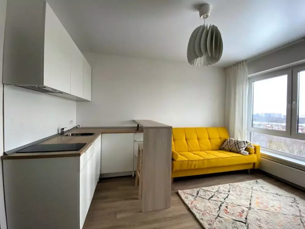 Студия Москва ул. Саларьевская, 16к3 (21.0 м) - Фото 1