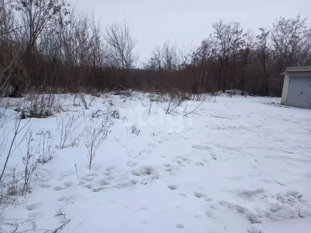 Участок в Белгородская область, Губкинский городской округ, с. Мелавое ... - Фото 1