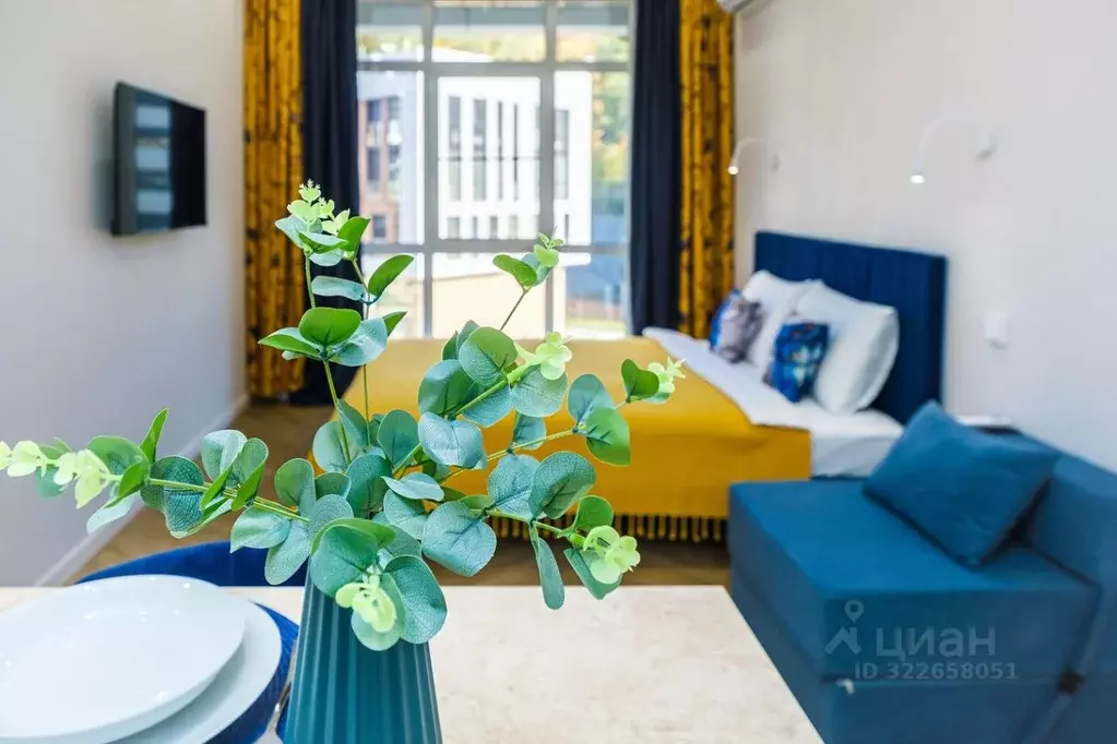 Студия Краснодарский край, Сочи городской округ, Дагомыс пгт ш. ... - Фото 1