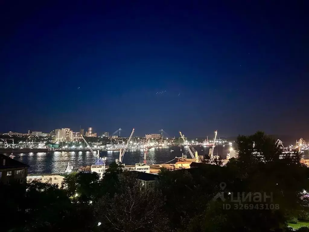 2-к кв. Приморский край, Владивосток ул. Бестужева, 20 (53.0 м) - Фото 1