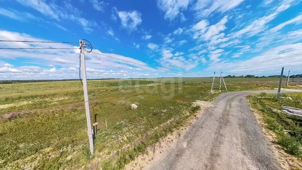 Участок в Тюменская область, Тюменский район, с. Кулига, Сказка кп  ... - Фото 0