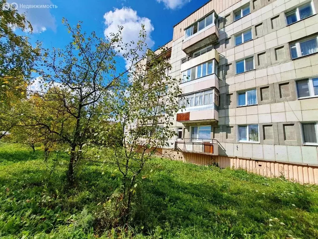 1-комнатная квартира: Лесной, улица Мира, 36 (33 м) - Фото 1