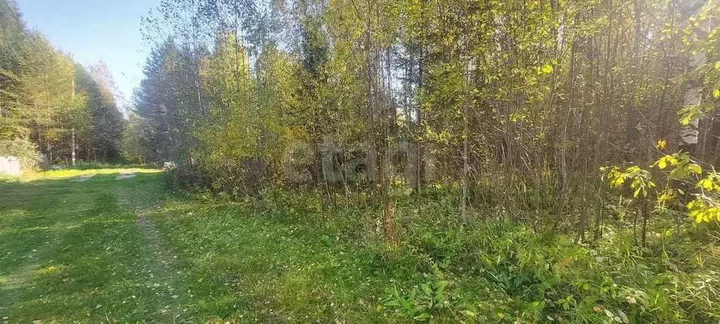 Участок в Коми, Сыктывдинский район, Выльгорт муниципальное ... - Фото 2