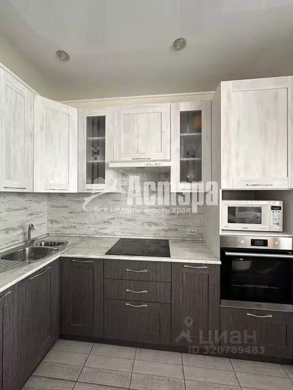 Студия Забайкальский край, Чита ул. Курнатовского, 70 (26.0 м) - Фото 2