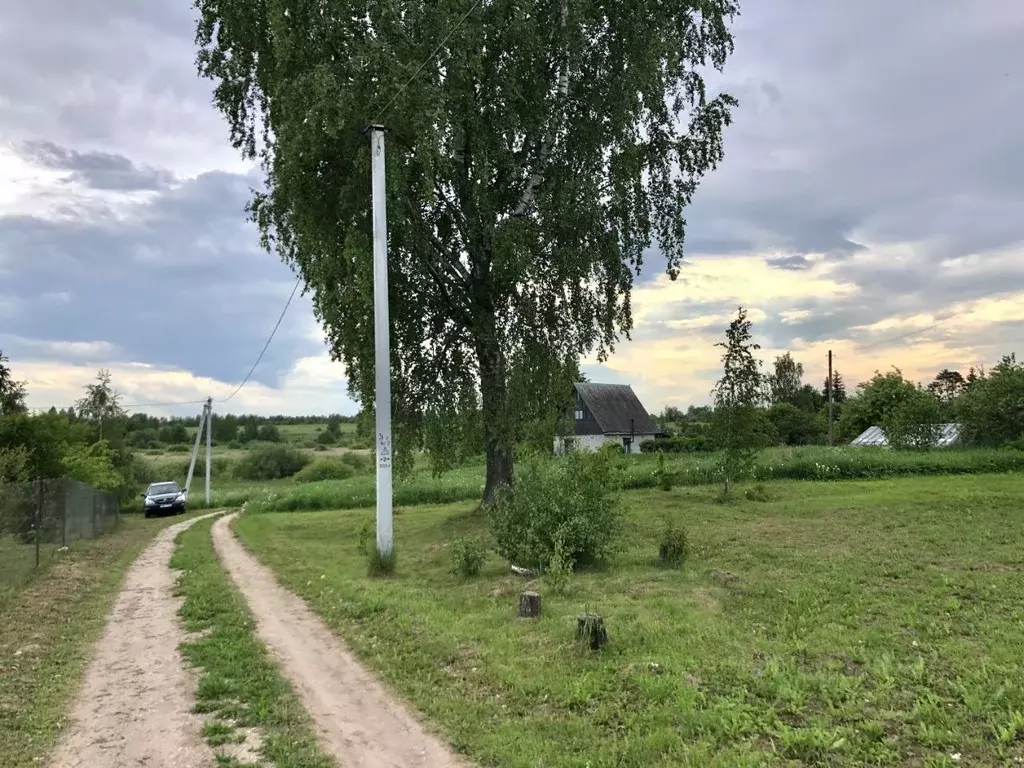 Участок в Псковская область, Псковский район, Логозовская волость, д. ... - Фото 2