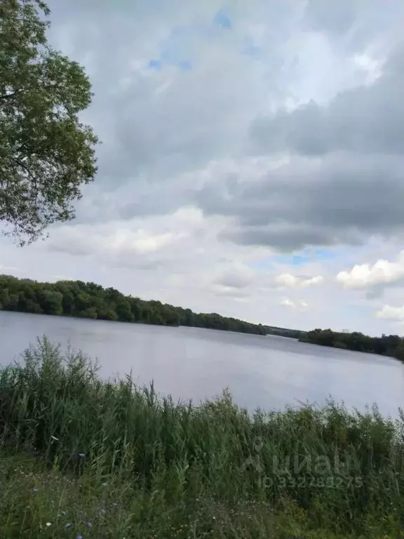 Дом в Курская область, Солнцевский район, Старолещинский сельсовет, д. ... - Фото 1