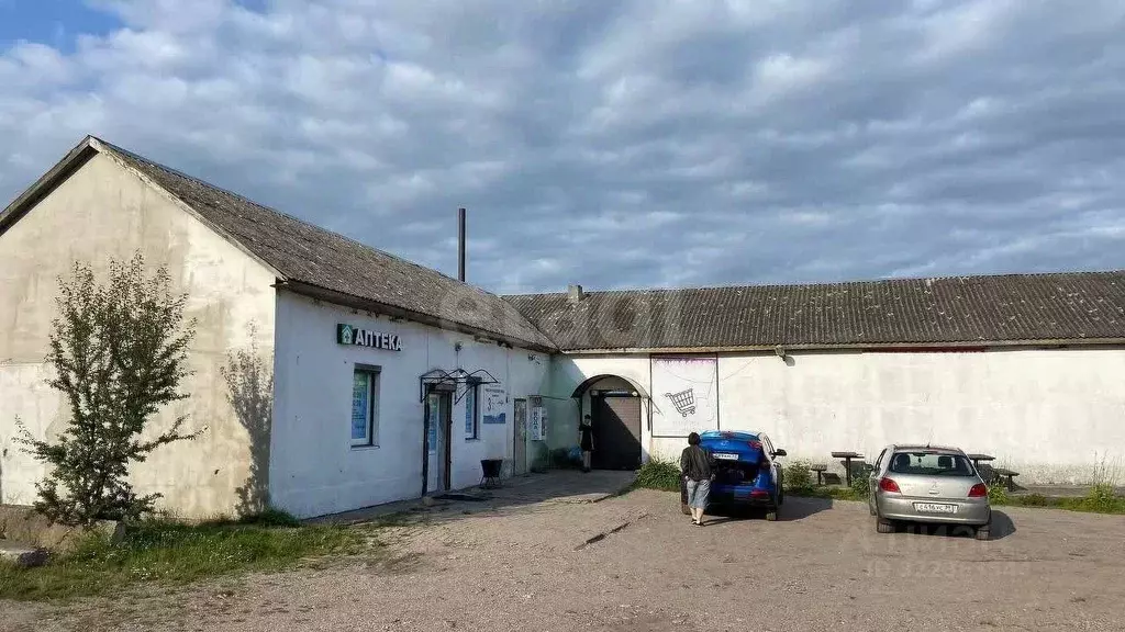 Торговая площадь в Калининградская область, Багратионовский ... - Фото 2