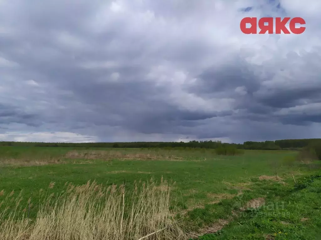 Участок в Ярославская область, Ярославский район, Заволжское с/пос, д. ... - Фото 0