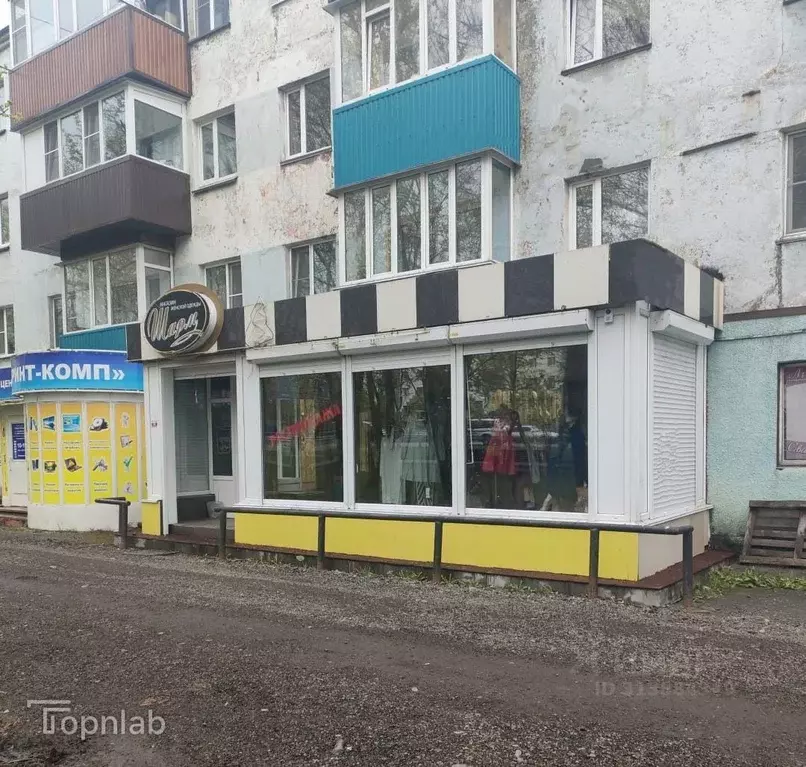 Помещение свободного назначения в Камчатский край, Елизово ул. Ленина, ... - Фото 1