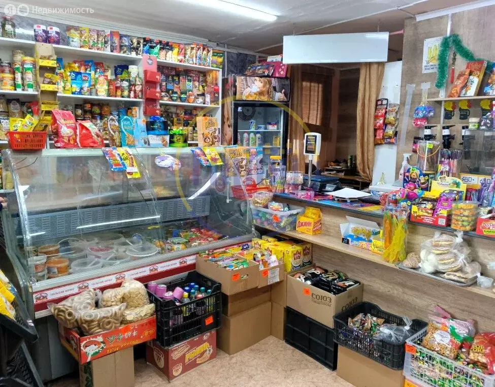 Помещение свободного назначения (29.9 м) - Фото 1