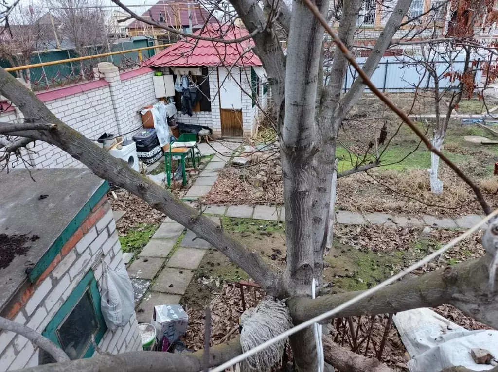 Участок в Астраханская область, Астрахань ул. Набережная Тимирязева, ... - Фото 2