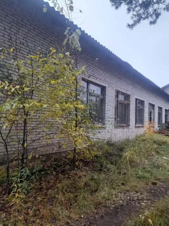 Помещение свободного назначения в Новгородская область, Хвойнинский ... - Фото 2