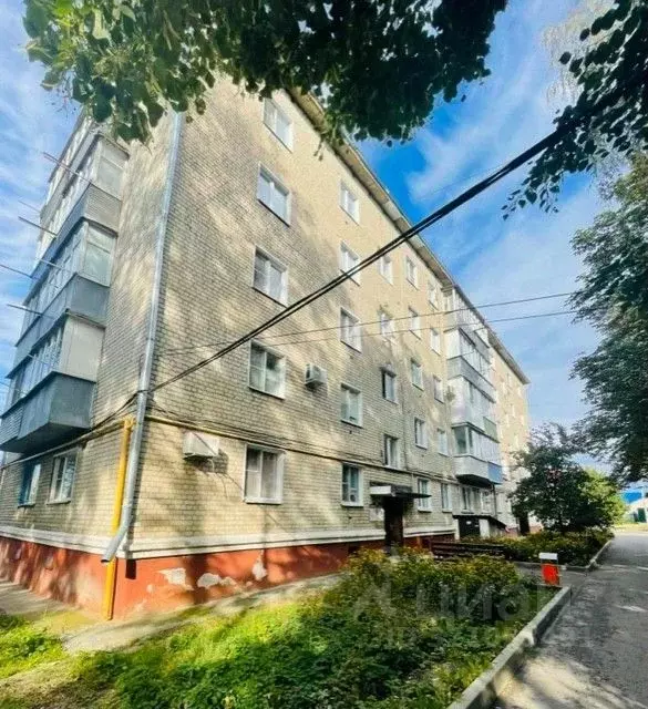 3-к кв. Белгородская область, Алексеевка ул. Маяковского (58.9 м) - Фото 1