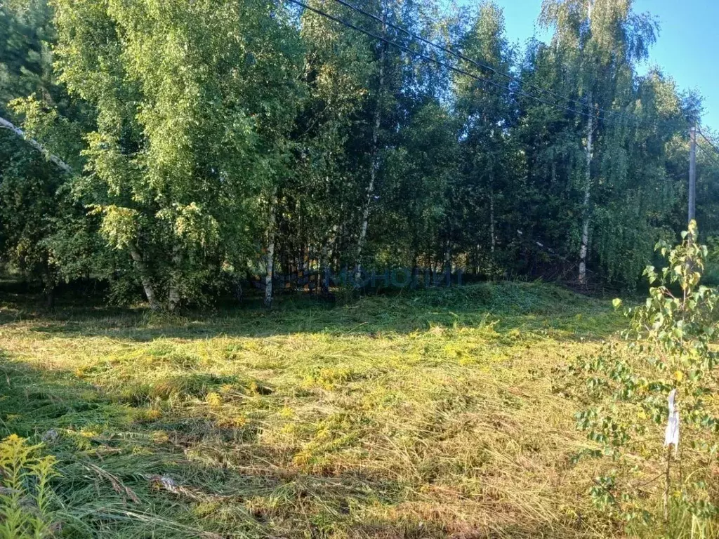 Участок в Нижегородская область, Дальнеконстантиновский муниципальный ... - Фото 2