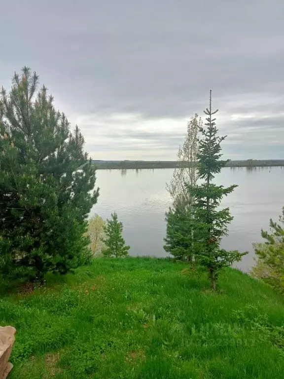 Дом в Татарстан, Елабужский район, Костенеевское с/пос, с. Котловка  ... - Фото 2