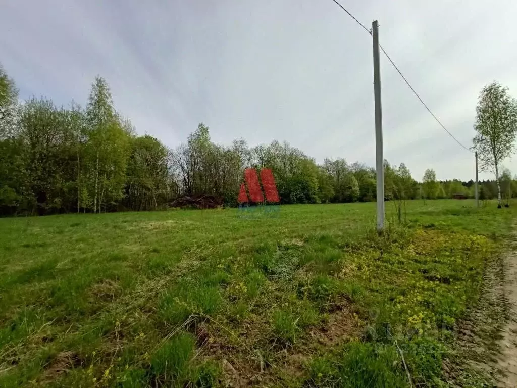 Участок в Ярославская область, Тутаевский муниципальный округ, д. ... - Фото 2