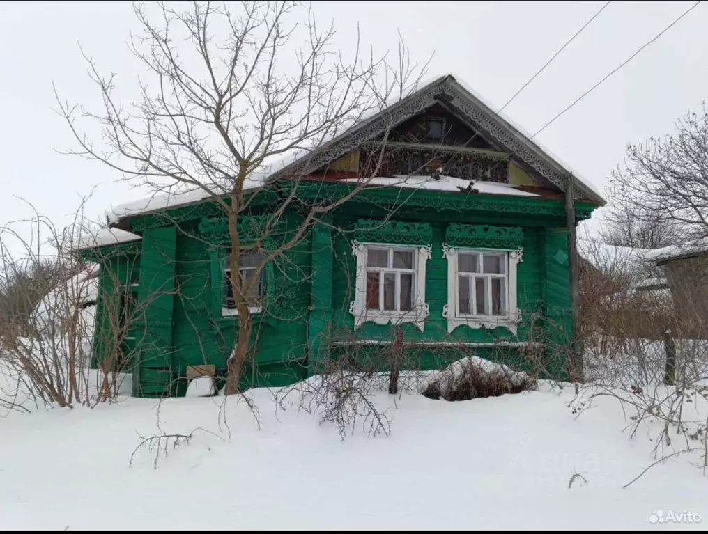 Дом в Нижегородская область, Шатковский муниципальный округ, с. ... - Фото 2