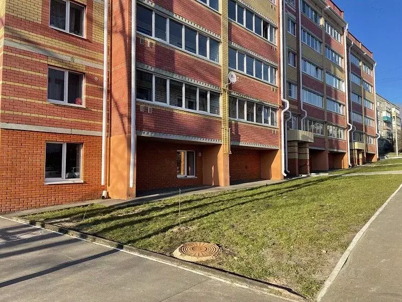 Помещение свободного назначения в Марий Эл, Йошкар-Ола Кирпичная ул., ... - Фото 1