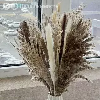 1-комнатная квартира: Ставрополь, улица Тухачевского, 31 (40 м) - Фото 0