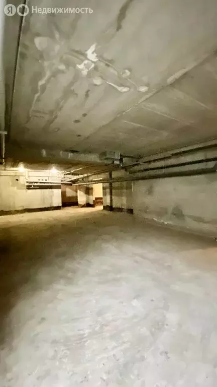 Помещение свободного назначения (248 м) - Фото 0