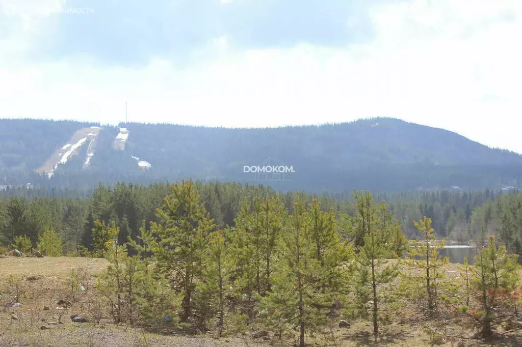 Участок в Уралец, Дачная улица, 24 (15 м) - Фото 1