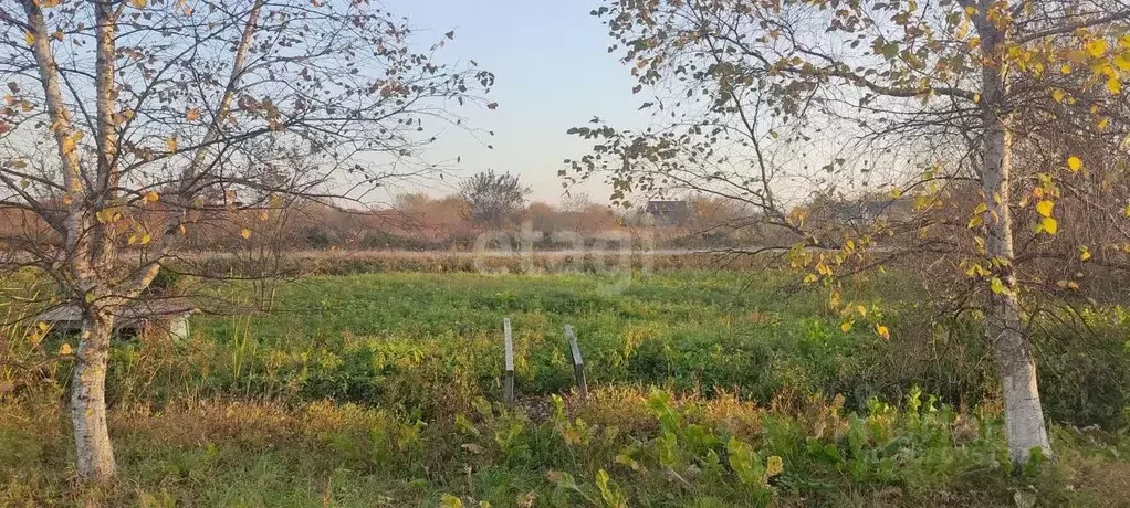 Участок в Приморский край, Артемовский городской округ, с. Кневичи ... - Фото 1