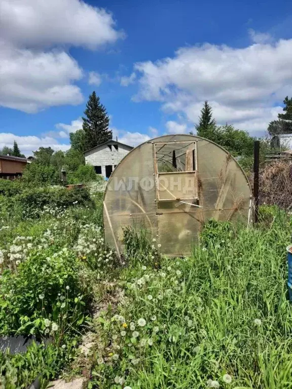 Участок в Новосибирская область, Новосибирск Золотая горка садовое ... - Фото 1