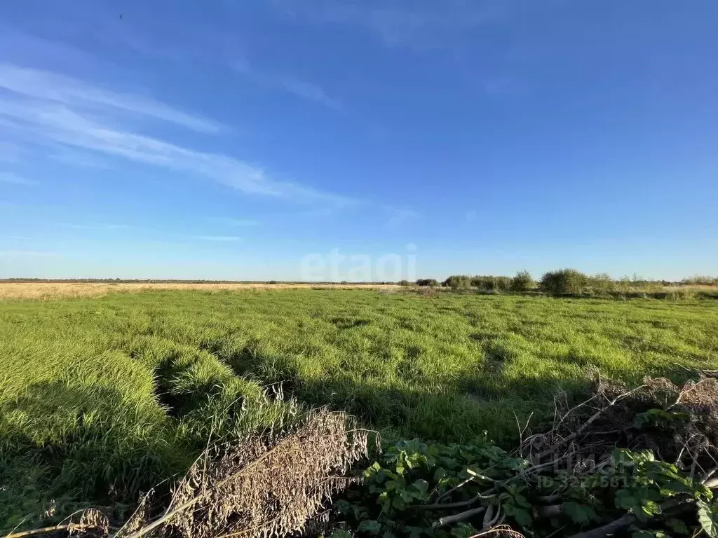 Участок в Коми, Сыктывдинский район, с. Выльгорт  (12.9 сот.) - Фото 1