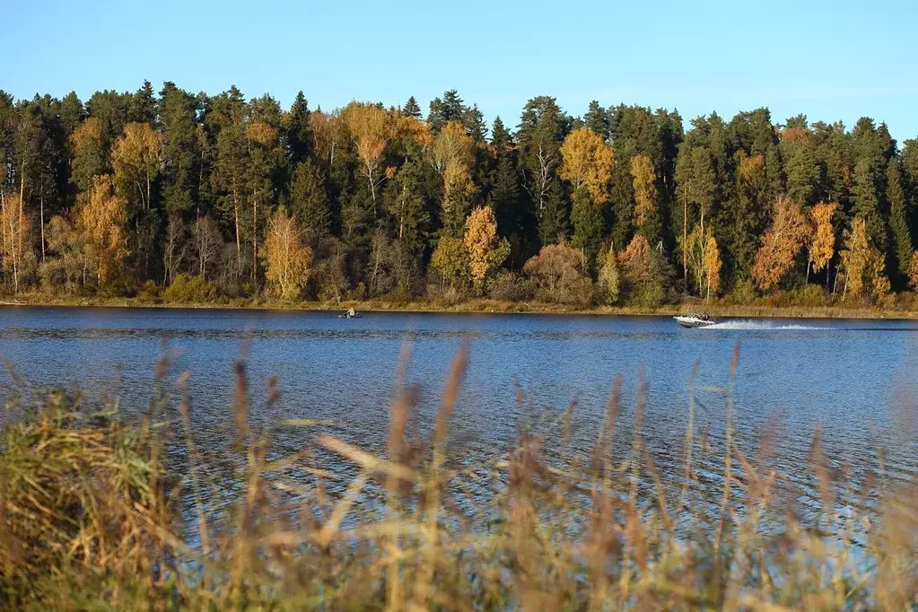 Участок в Московская область, Волоколамский муниципальный округ, КП ... - Фото 1