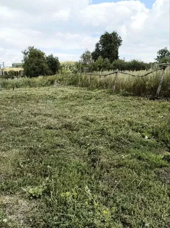 Участок в Мордовия, Лямбирский район, с. Лопатино  (10.0 сот.) - Фото 2