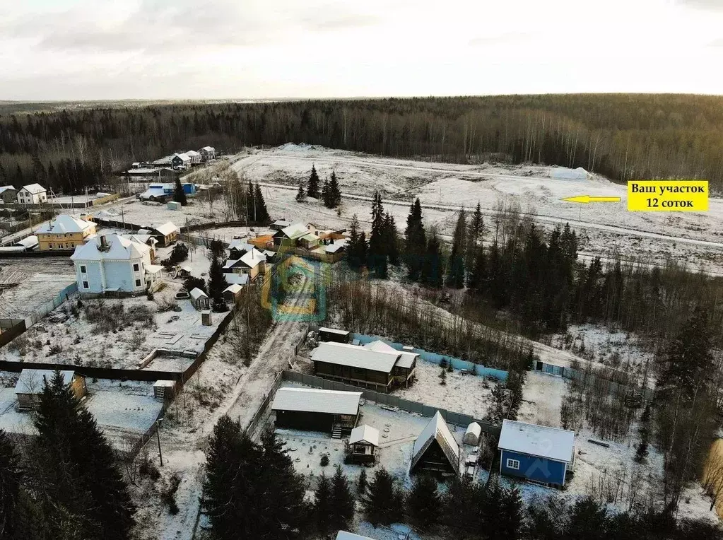 Участок в Ленинградская область, Всеволожский район, Лесколовское ... - Фото 1