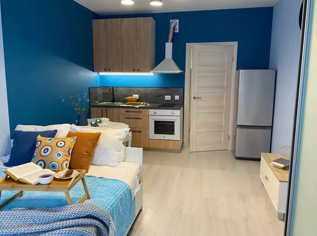 Студия Санкт-Петербург Пулковское ш., 73к6 (25.0 м) - Фото 1