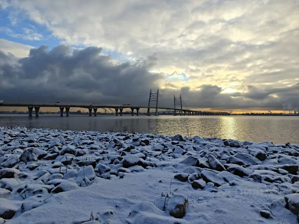 Студия Санкт-Петербург ул. Виктора Конецкого, 5 (29.0 м) - Фото 2