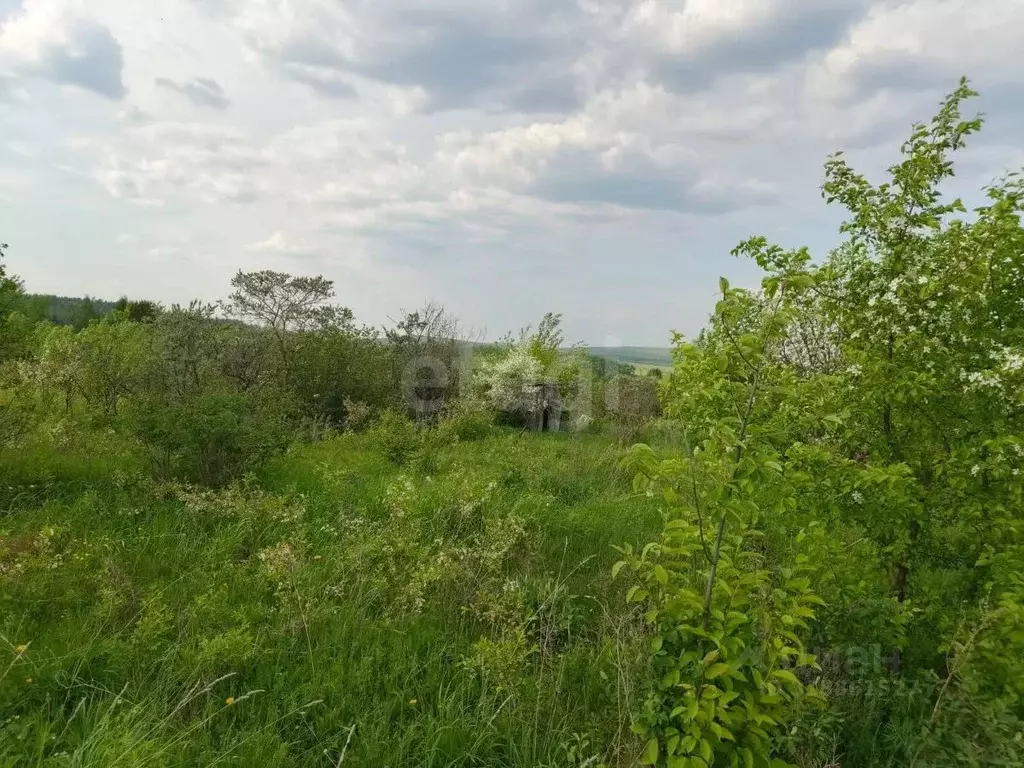 Участок в Свердловская область, Кушва Энергетик-3 садовое дачное ... - Фото 1