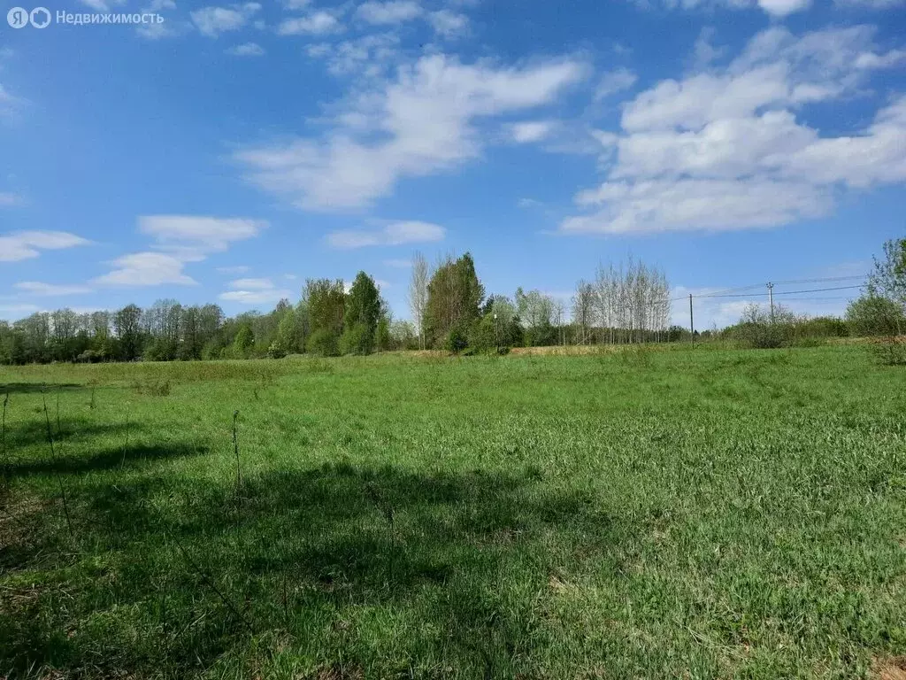 Участок в Заклинское сельское поселение, деревня Заполье (Каменская ... - Фото 2
