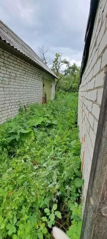 Дом в Нижегородская область, Богородский муниципальный округ, с. ... - Фото 1