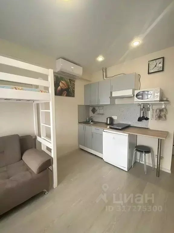 Студия Краснодарский край, Сочи городской округ, Дагомыс пгт ул. ... - Фото 0