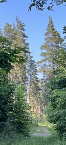 Участок 6 сот. (ИЖС) - Фото 0