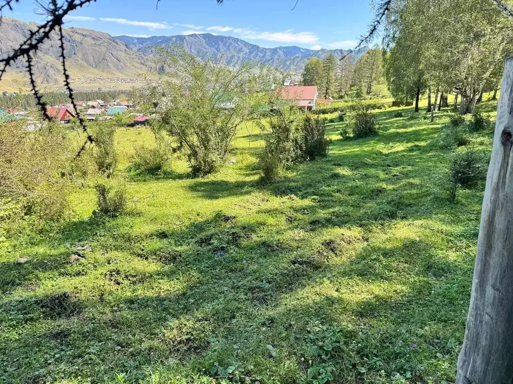 Участок в Алтай, с. Онгудай ул. Юбилейная, 87Б (16.0 сот.) - Фото 1