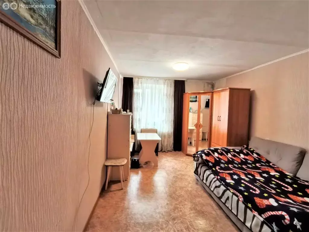 Квартира-студия: Пермь, проспект Декабристов, 41/1 (25 м) - Фото 2
