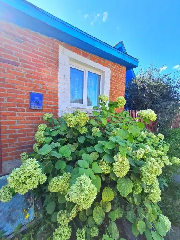 Дом в Марий Эл, Йошкар-Ола ул. Димитрова, 34 (75 м) - Фото 1