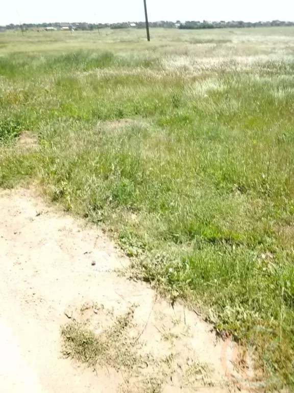 Участок в Крым, Сакский район, Молочненское с/пос, с. Витино ул. ... - Фото 1