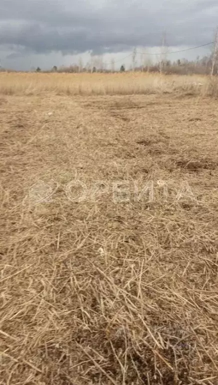 Участок в Тюменская область, Тюмень Ясень садовое товарищество,  (10.0 ... - Фото 1