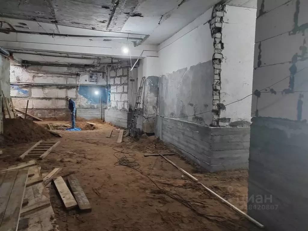 Помещение свободного назначения в Нижегородская область, Бор ул. ... - Фото 1