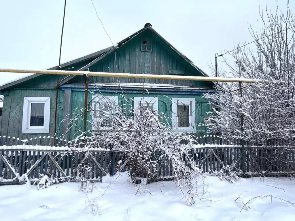 Дом в Белгородская область, Новооскольский муниципальный округ, с. ... - Фото 1