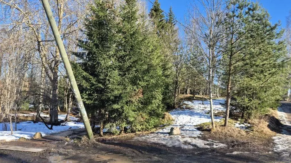 Участок, 20 сот., 0 - Фото 1