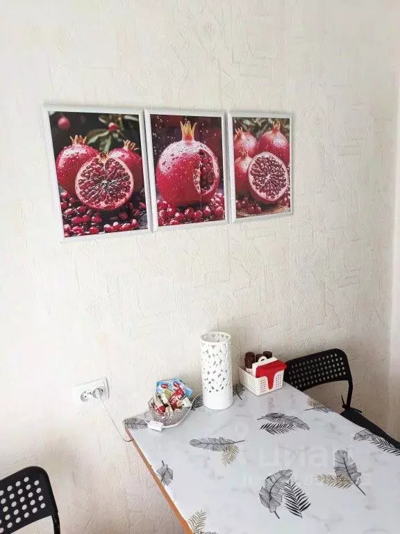 1-к кв. Псковская область, Псков Рижский просп., 60 (20.0 м) - Фото 2