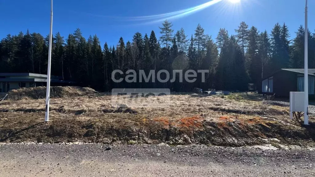 Участок в Ленинградская область, Приозерский район, Раздольевское ... - Фото 2